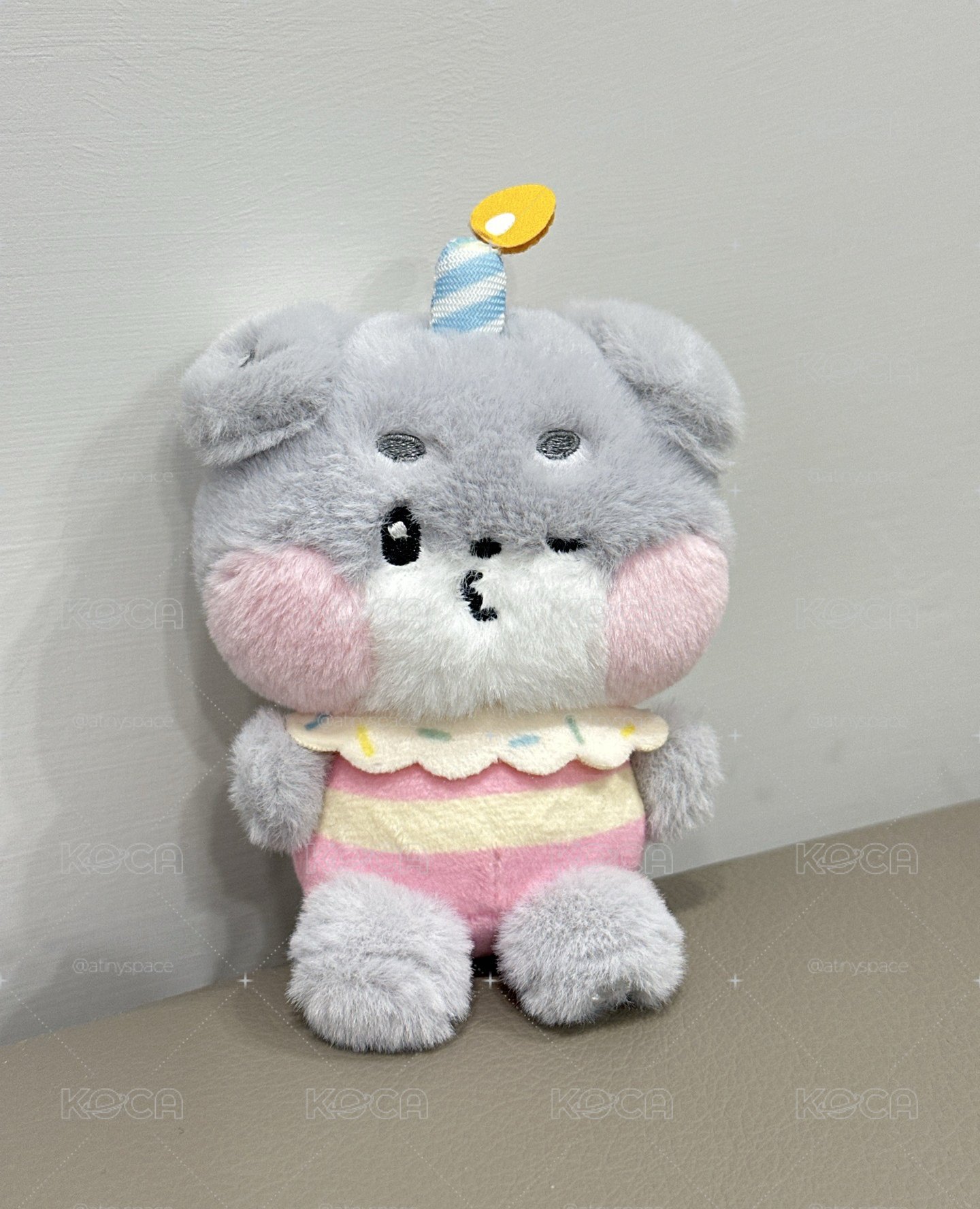 zeroni HOME PARTY 朴乾旭 生日蛋糕娃