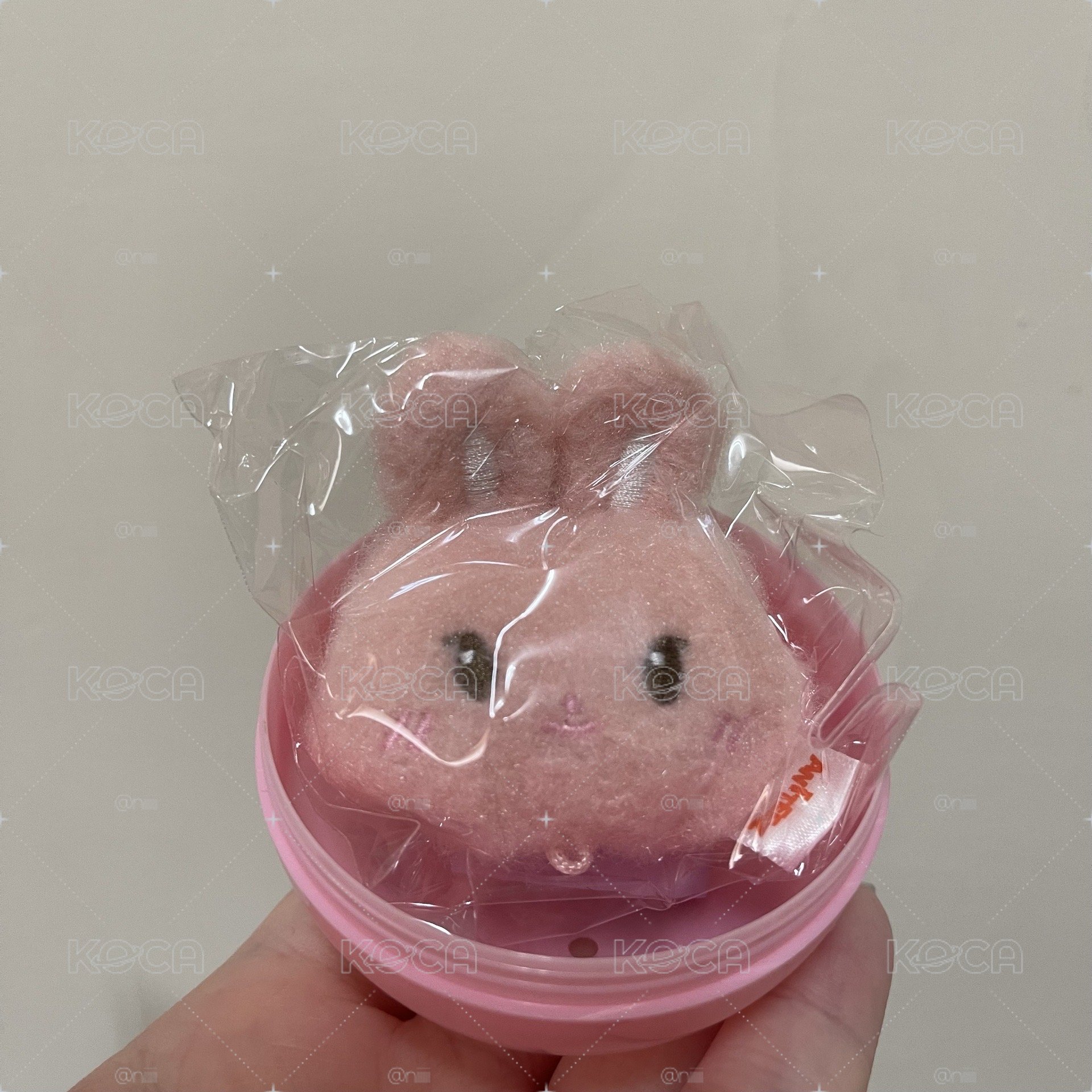 ANITEEZ IN COLOR 鑰匙圈吊飾 星化