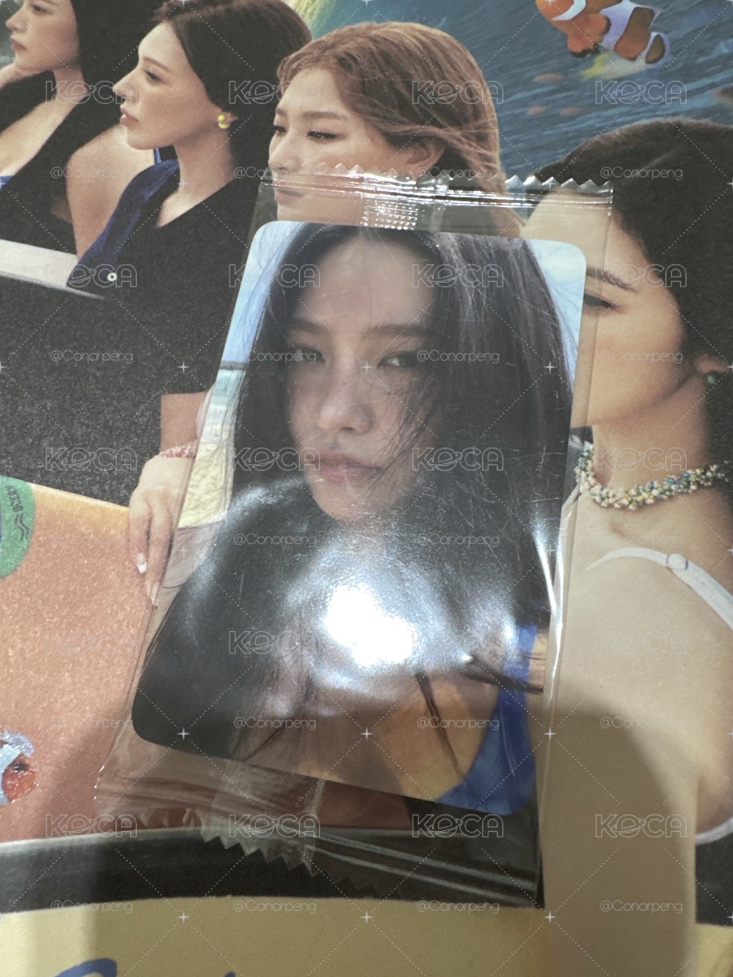 可愛忙內特典卡