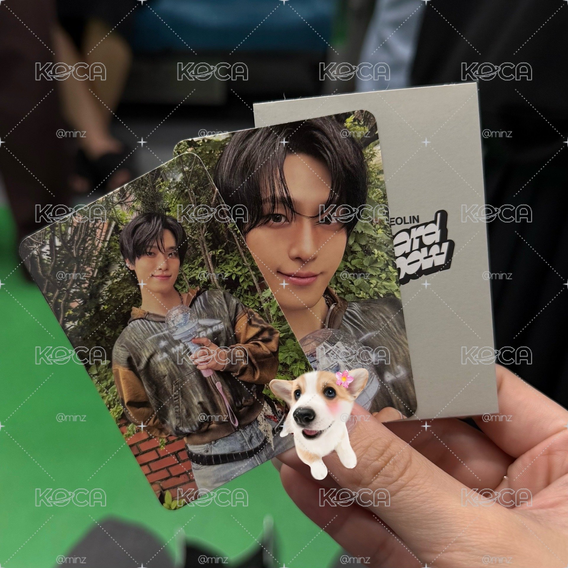 Dino x PICHEOLIN 粽卡一套