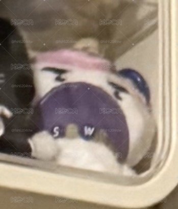 SJ 日周娃 始源 🦄