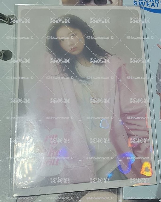 禧大盤+親簽專（團）
