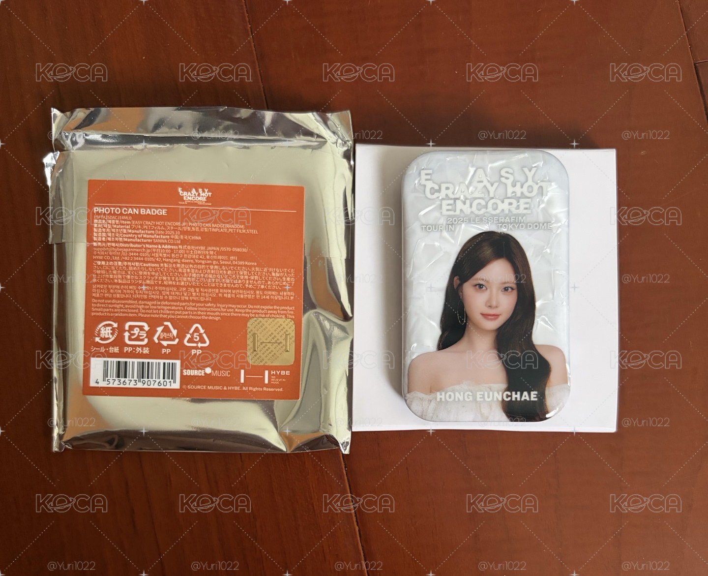恩採 25‘巡迴 東蛋安可 徽章 方徽