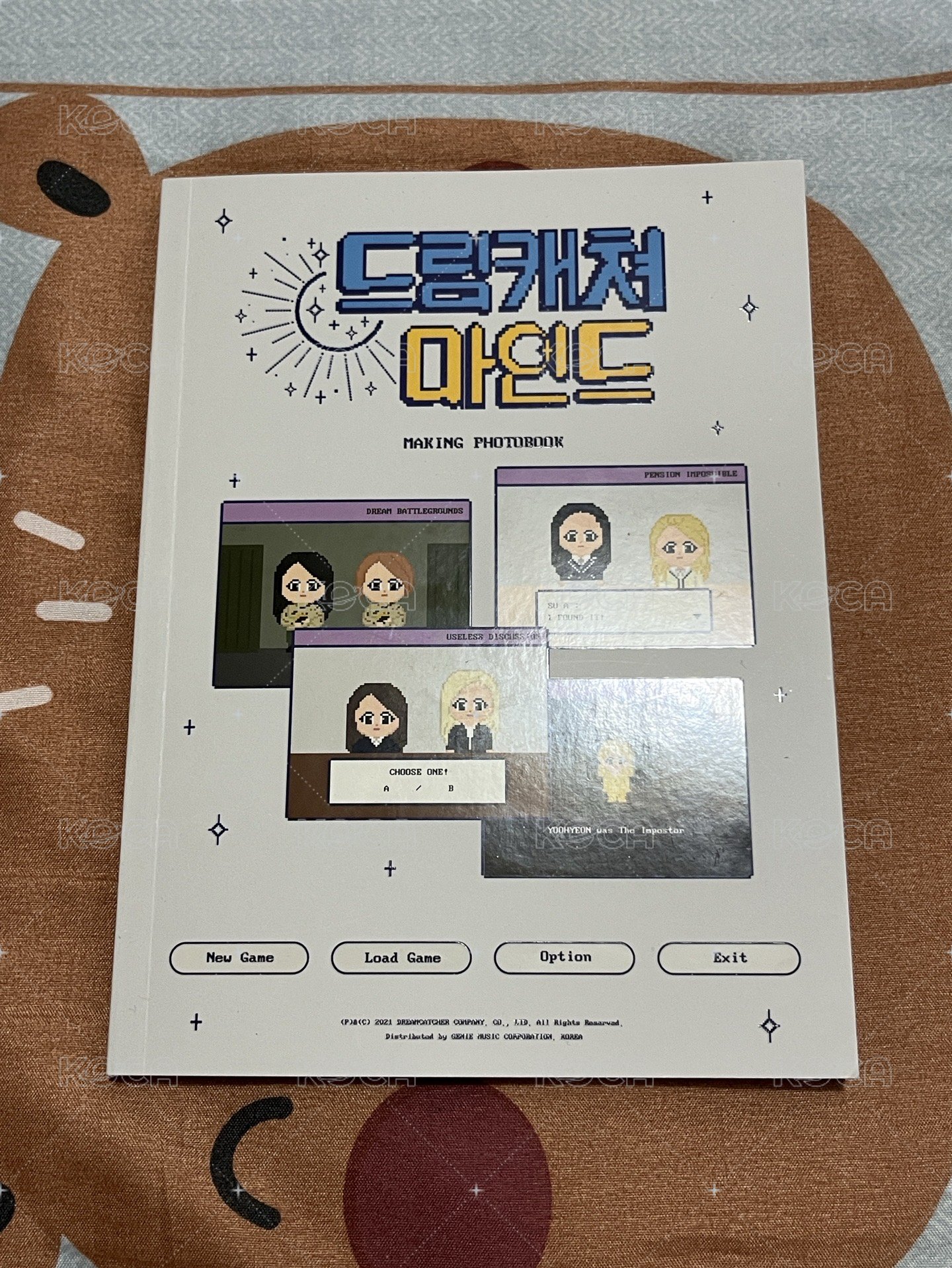 寫真書
