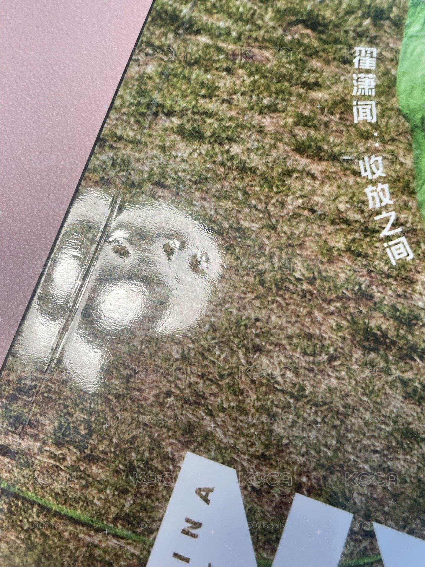 翟瀟聞尼龍雜誌含卡