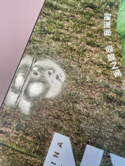 翟瀟聞尼龍雜誌含卡