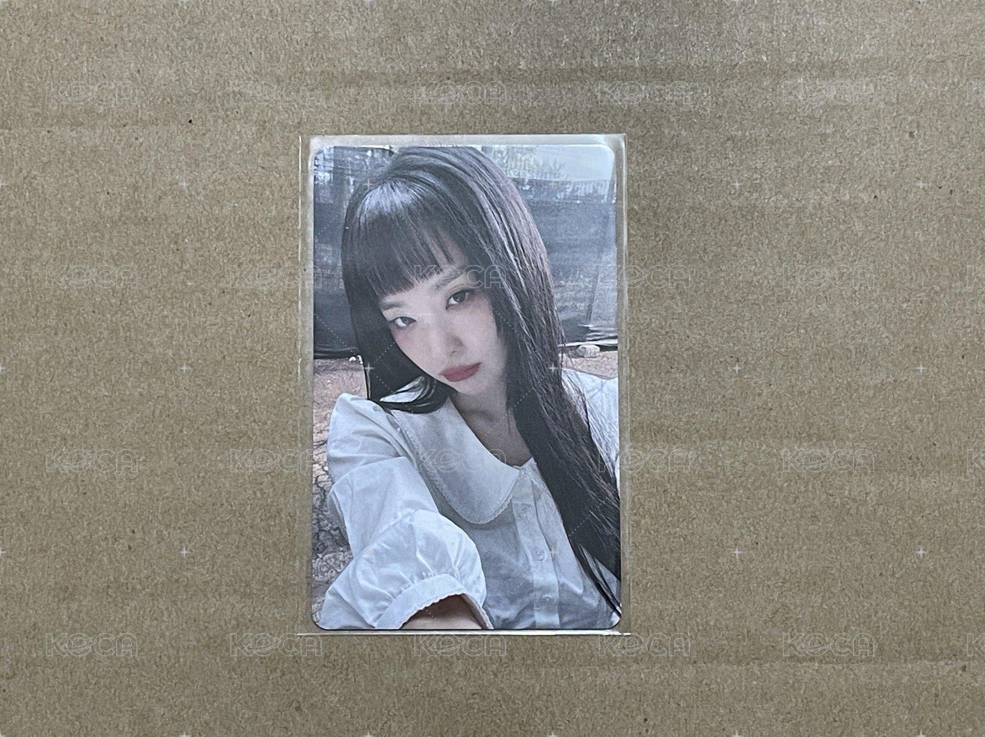 熊