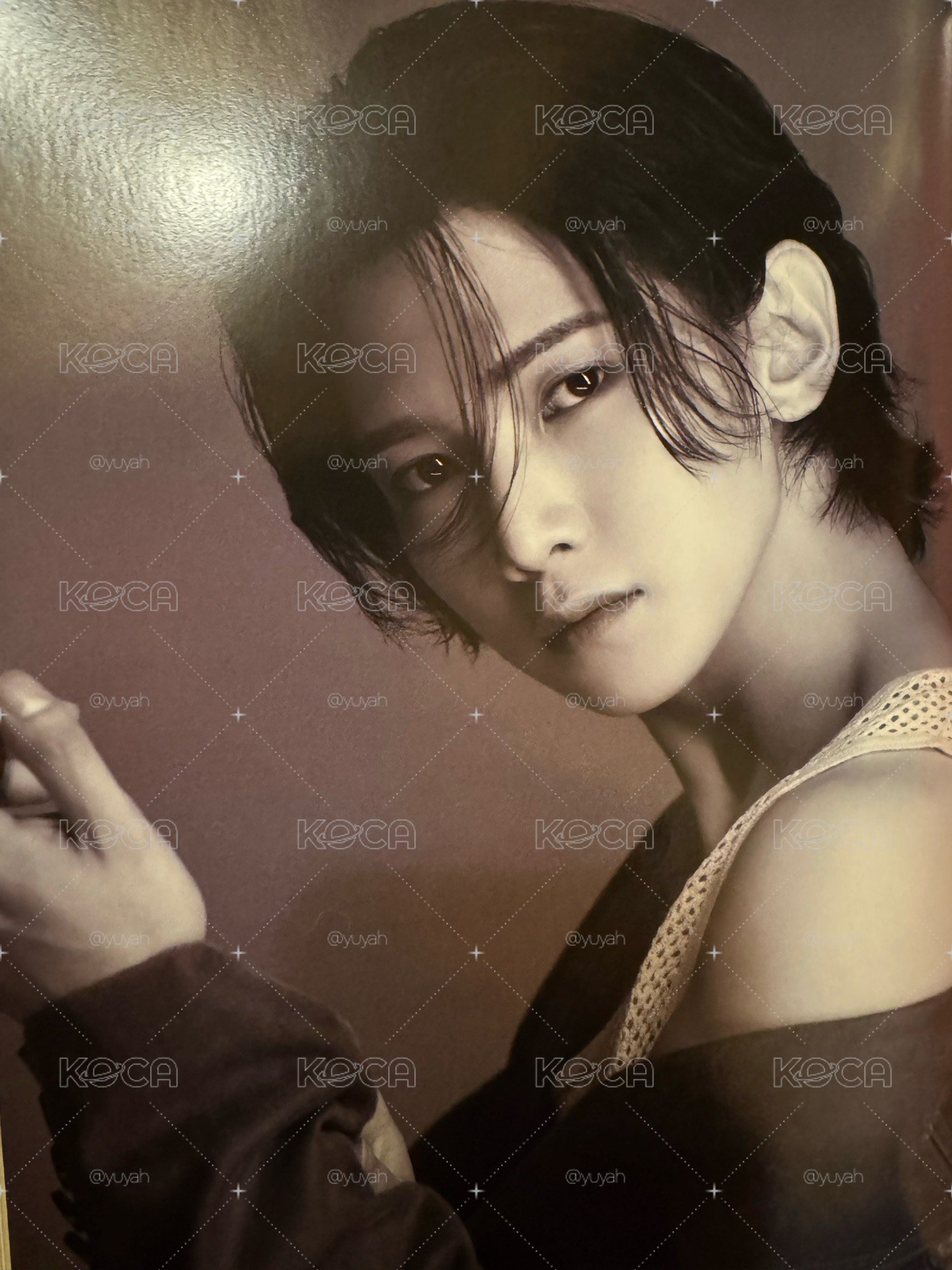 🐩呂尚-2區🧚🏻‍♂️ 漂釀小狗狗還是帥氣大杜賓🌼 小尚各時期美麗紙片（8/29更新）