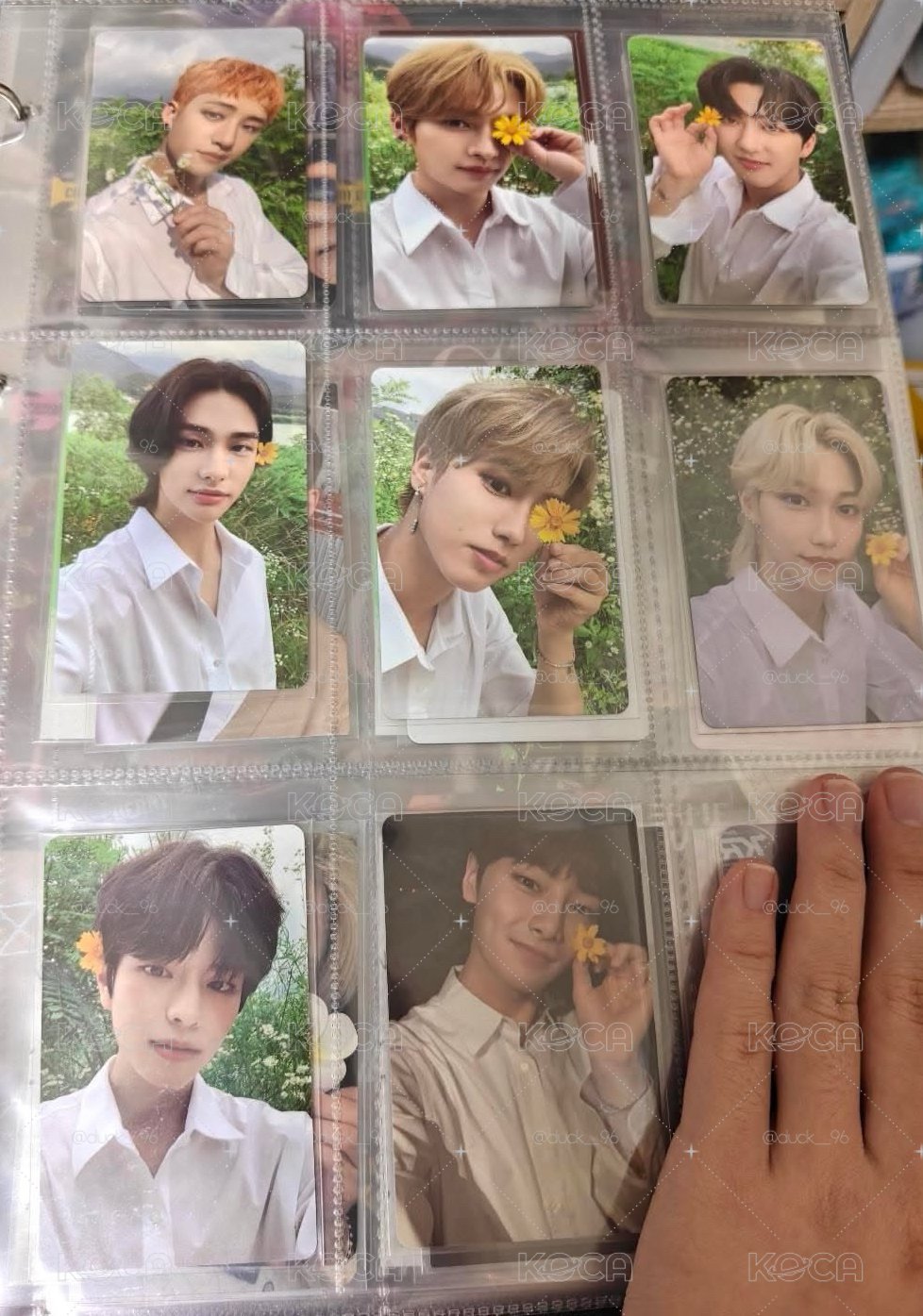 NOEASY專卡 Limited ver.一套