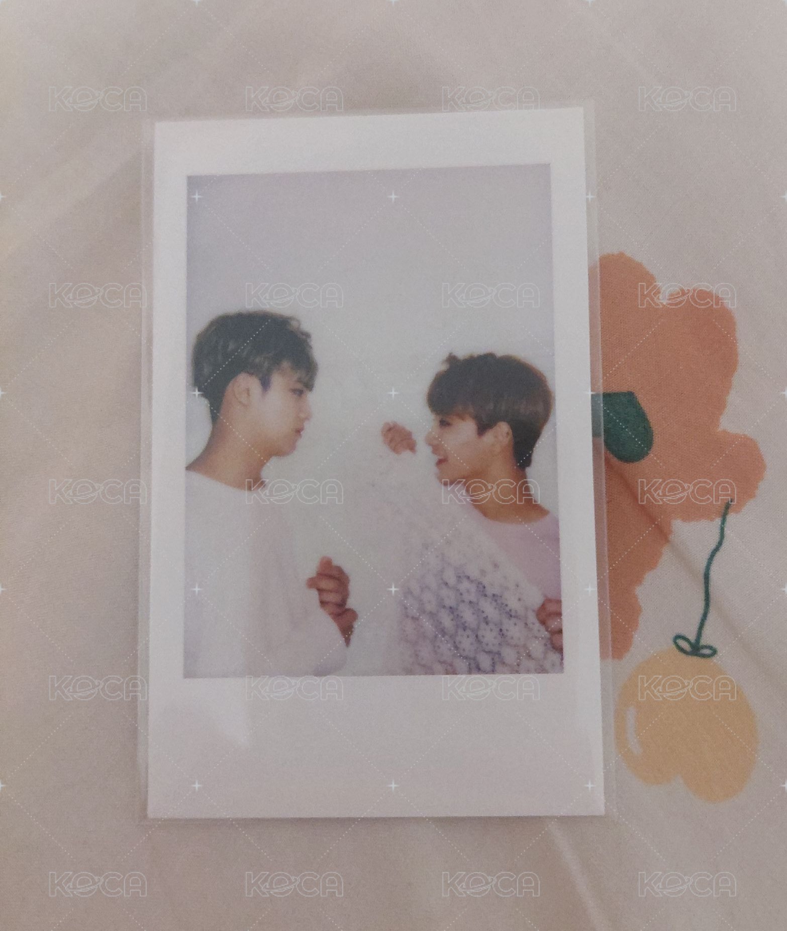 SEVENTEEN 珉奎 知秀 Boys Wish 鐵盒 拍立得