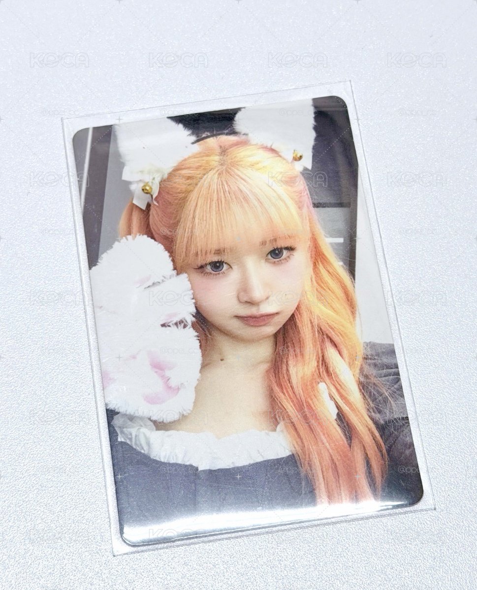 貓耳怜 🐱🧡