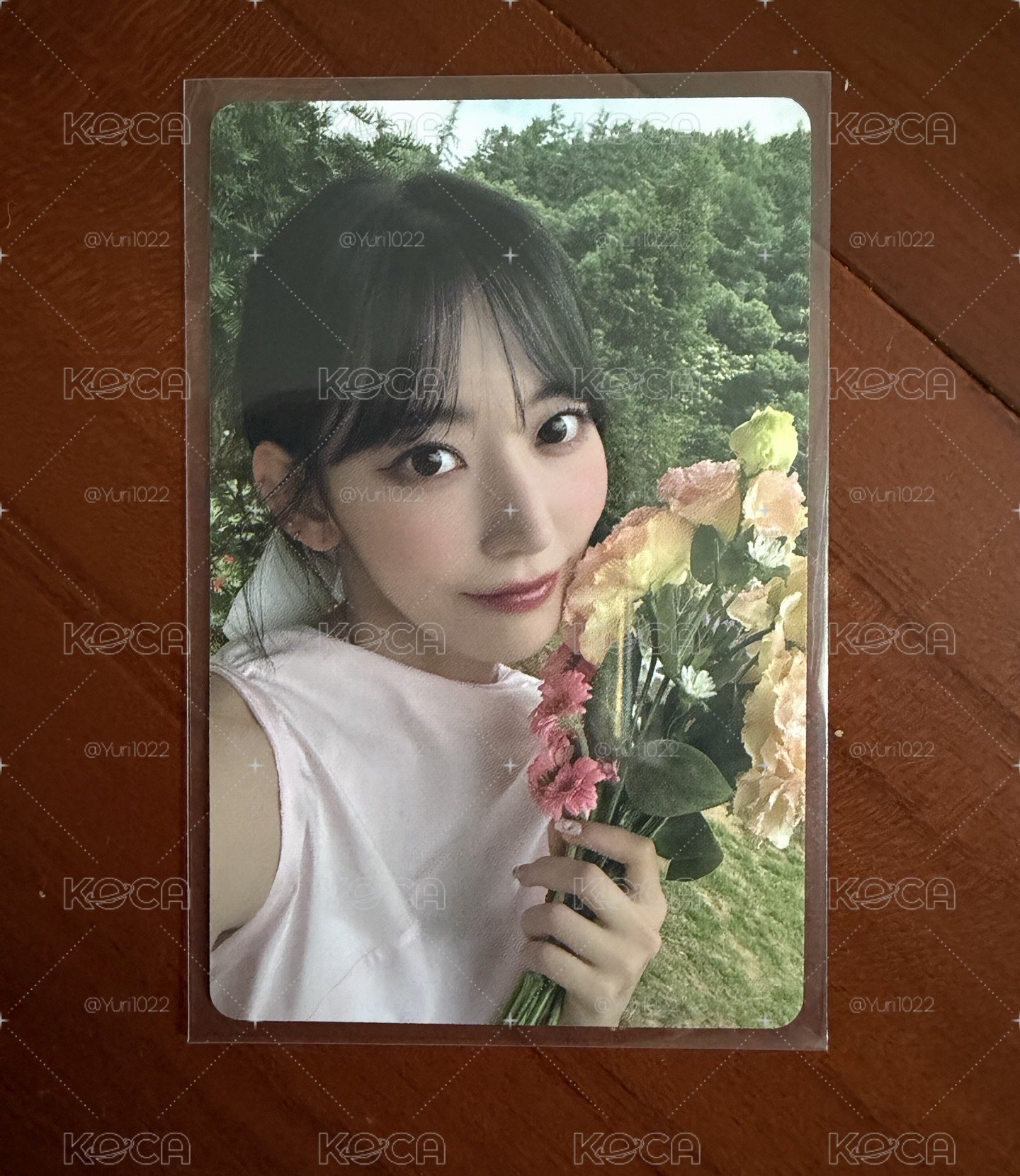 櫻花 DICON N°14 雜誌卡 A版 拿花櫻