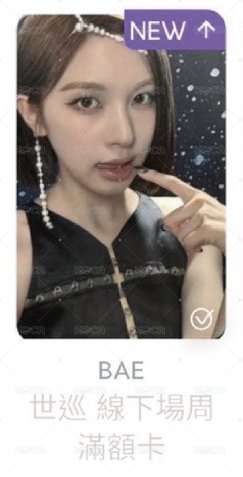 世巡線下滿額_裴BAE