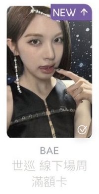 世巡線下滿額_裴BAE