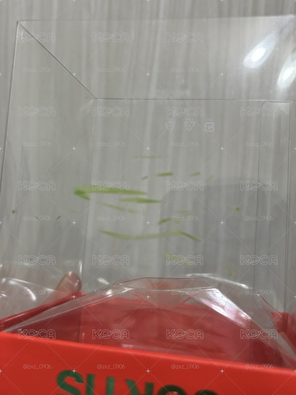 骰子空專無小卡