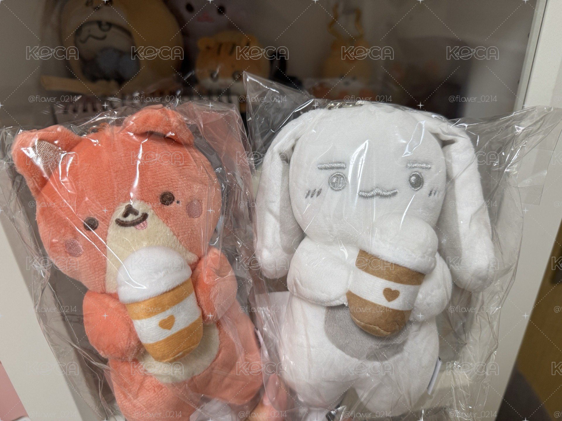 亞巡杯套