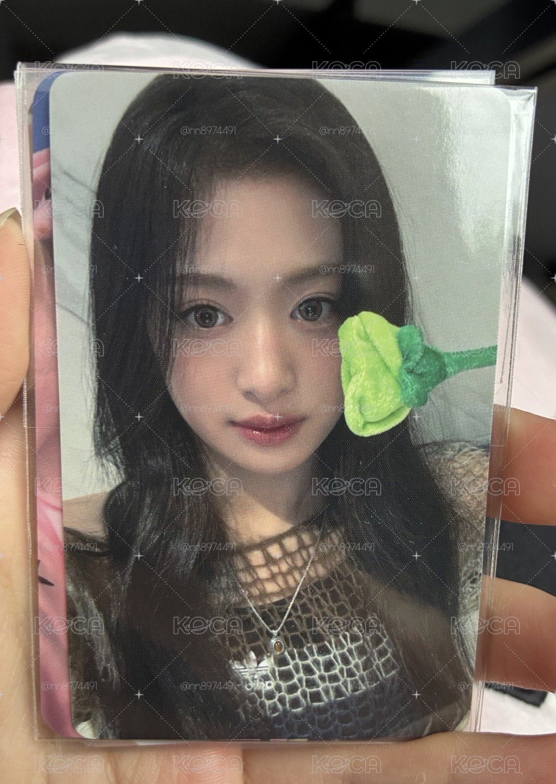 拿花賢未拆