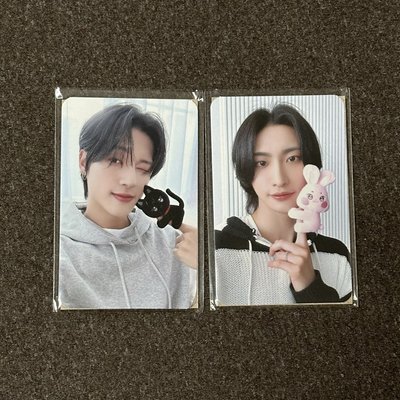 （不拆）Aniteez WOOYOnyang + 小卡四張