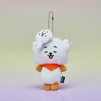 BT21 吊娃 TODAY'S MOOD 能量告急 RJ