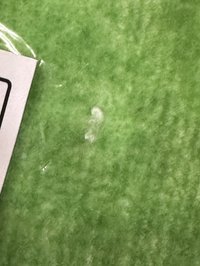 浴巾（一個地方脫線）