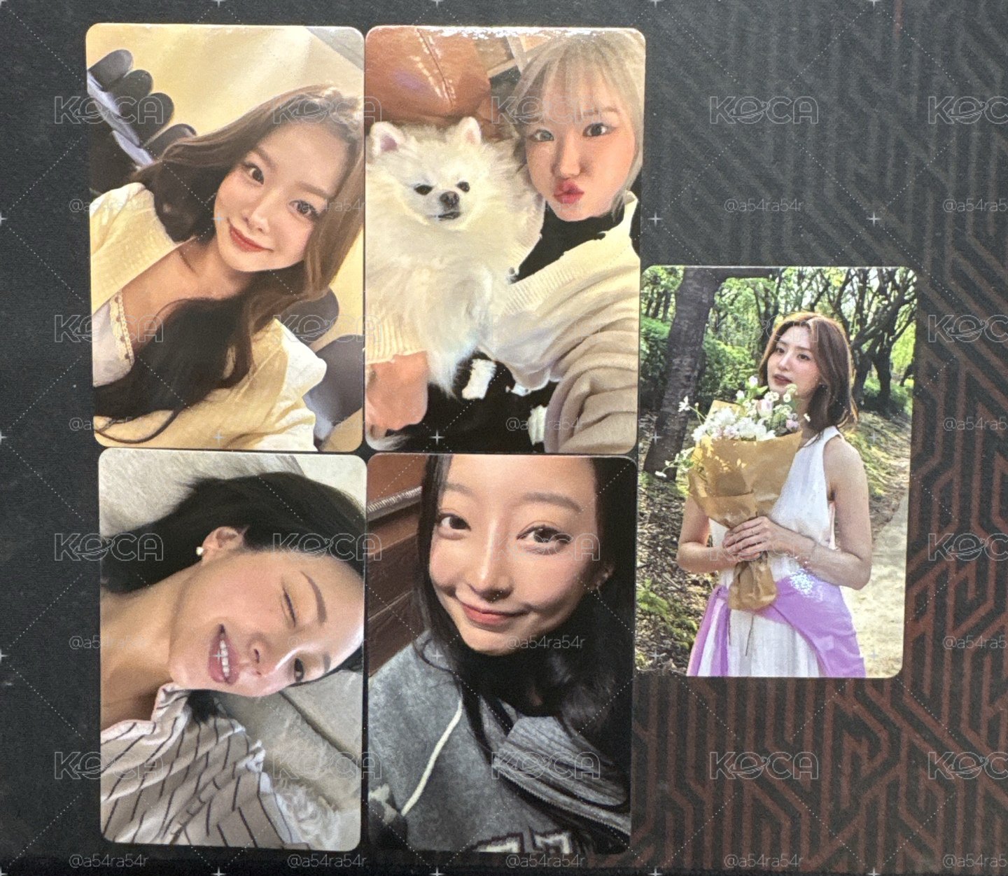 EXID 2026演唱會入場卡一套