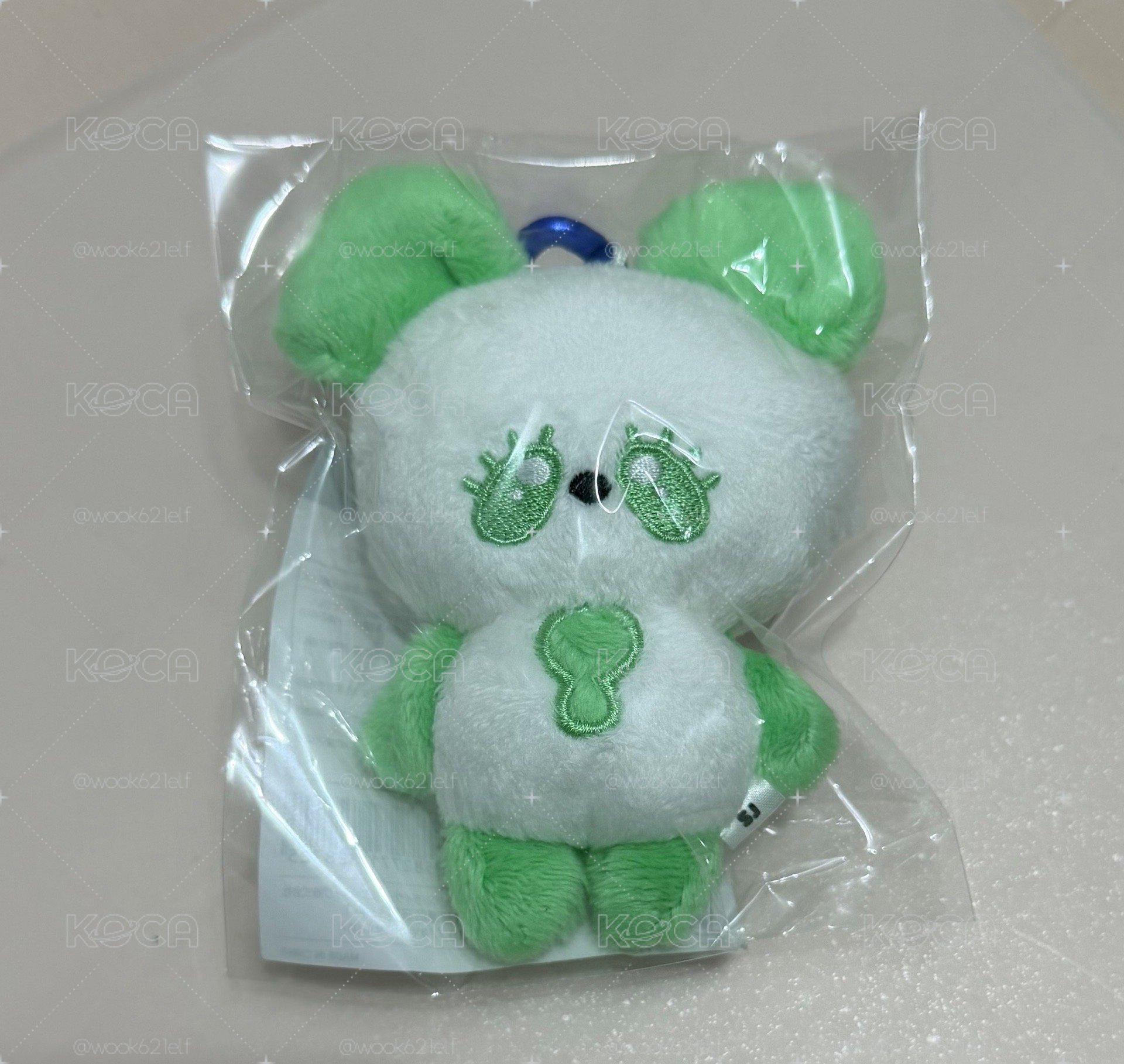 日周童熊貓