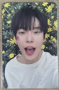 花牆