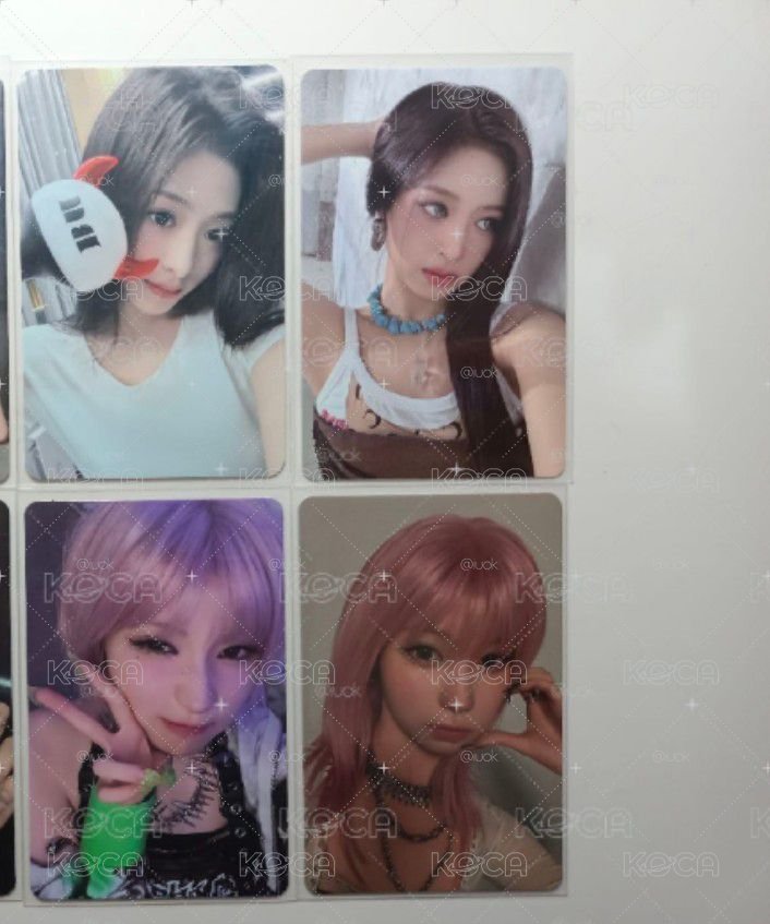 賢角小盤 🦋🐰