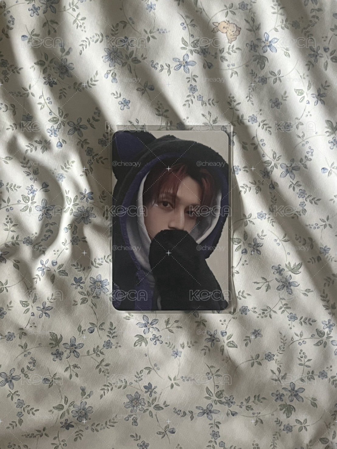ATEEZ ｜黑貓榮