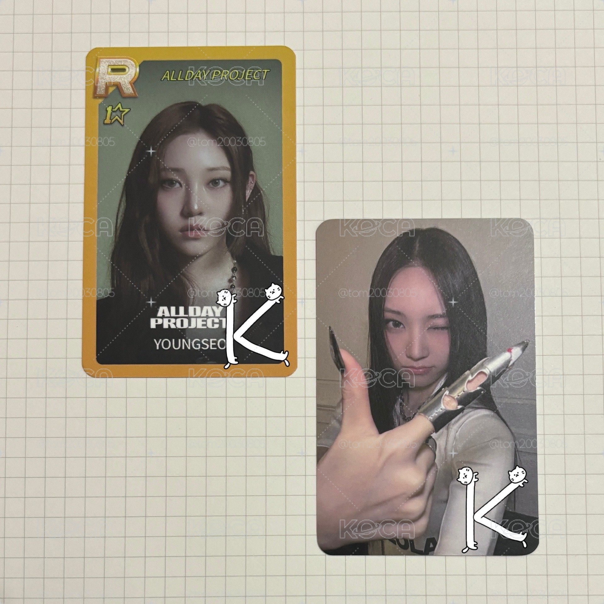 榮書 稀有貴卡盤 限量30遊戲卡
