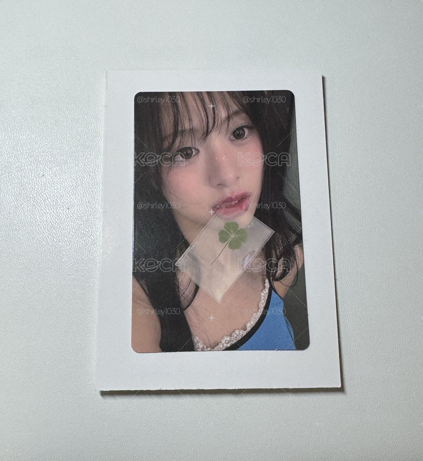四葉草賢