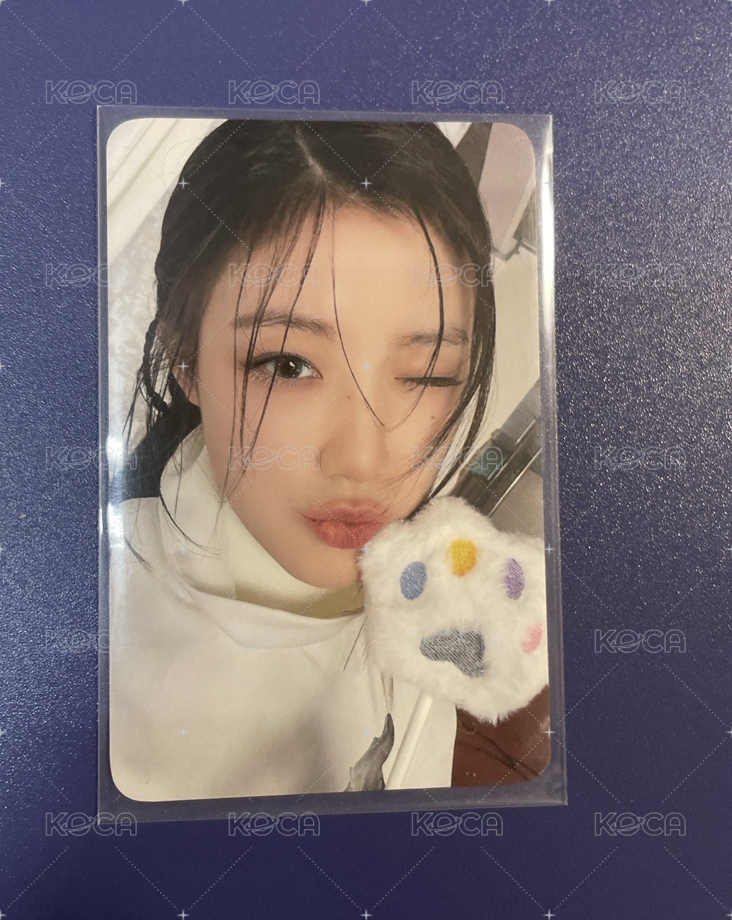 舒華預售特典簽名版