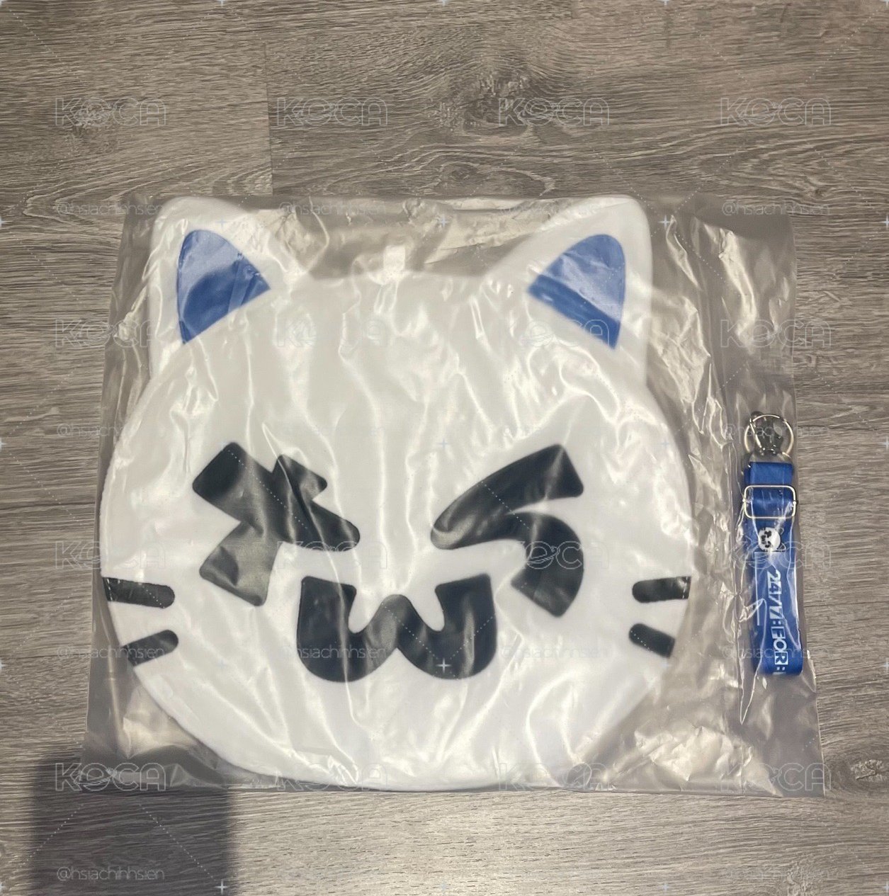 TWS 日巡 扇套