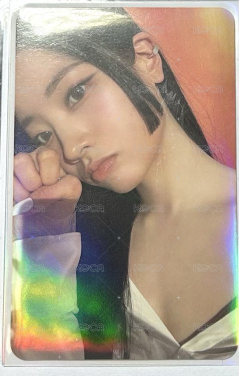迷13 豆