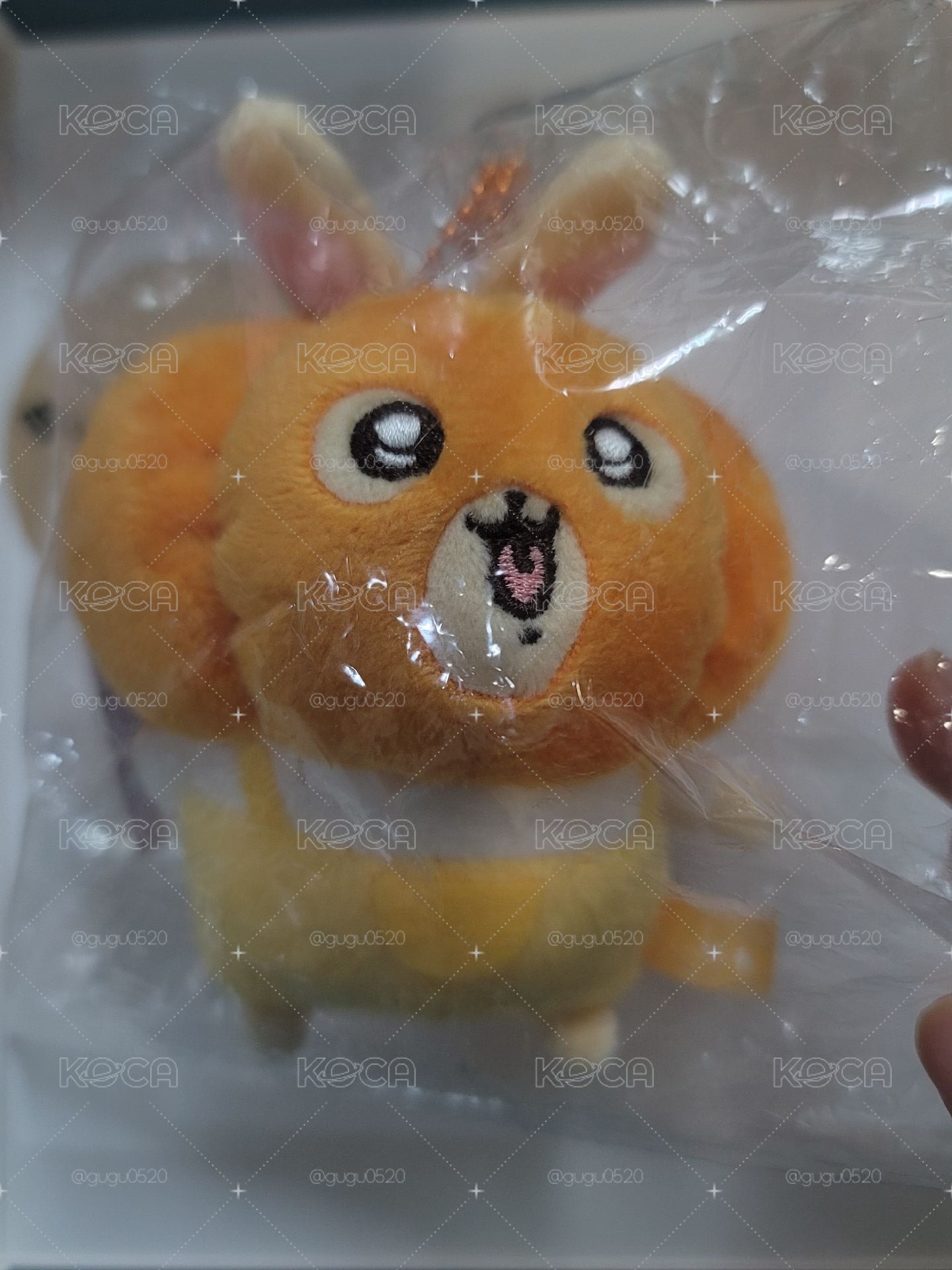 南瓜兔
