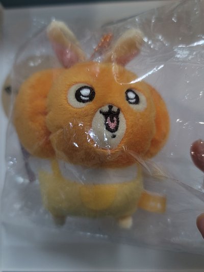 南瓜兔