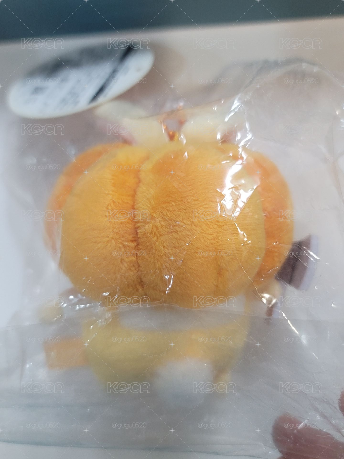 南瓜兔