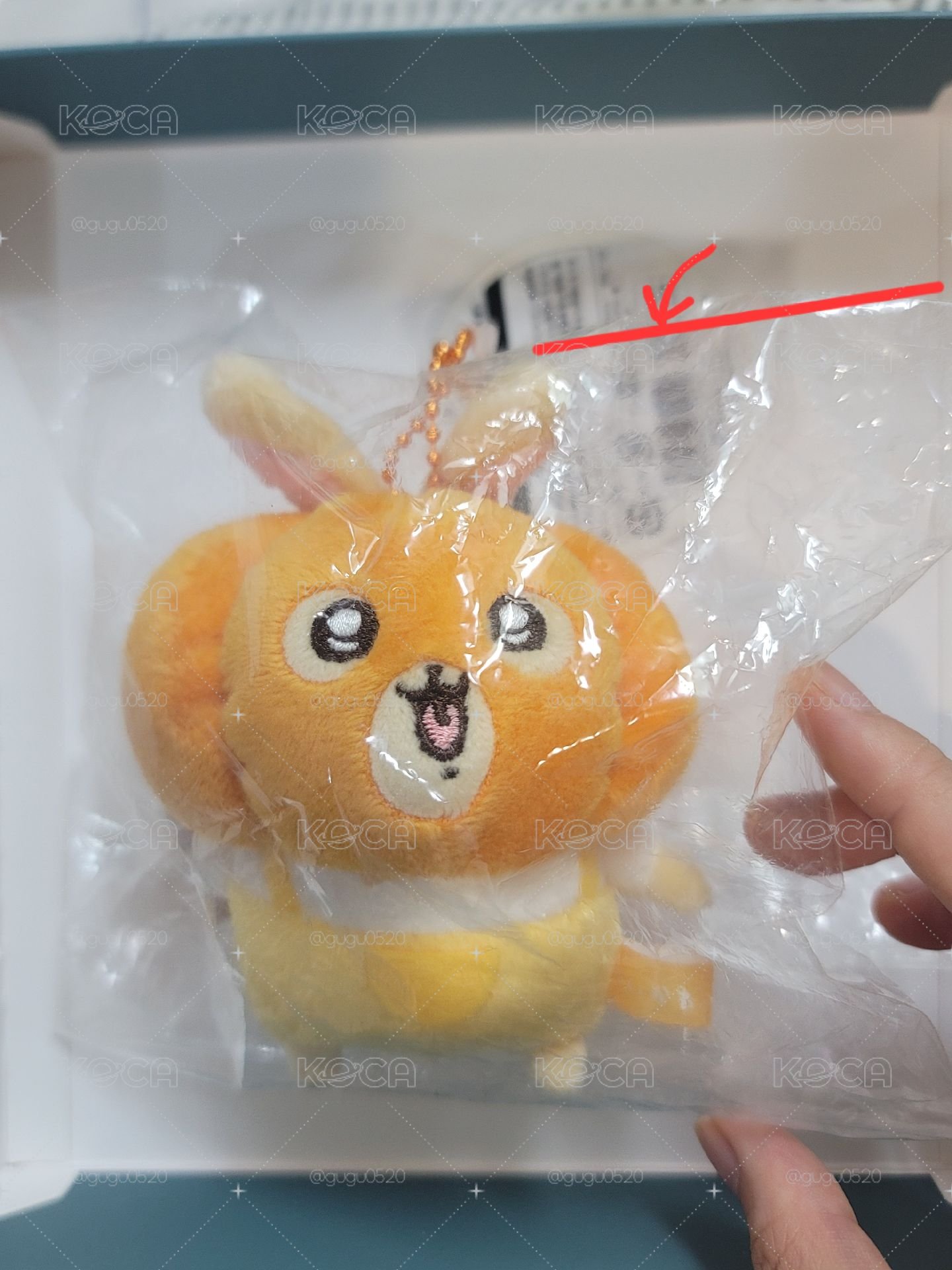 南瓜兔