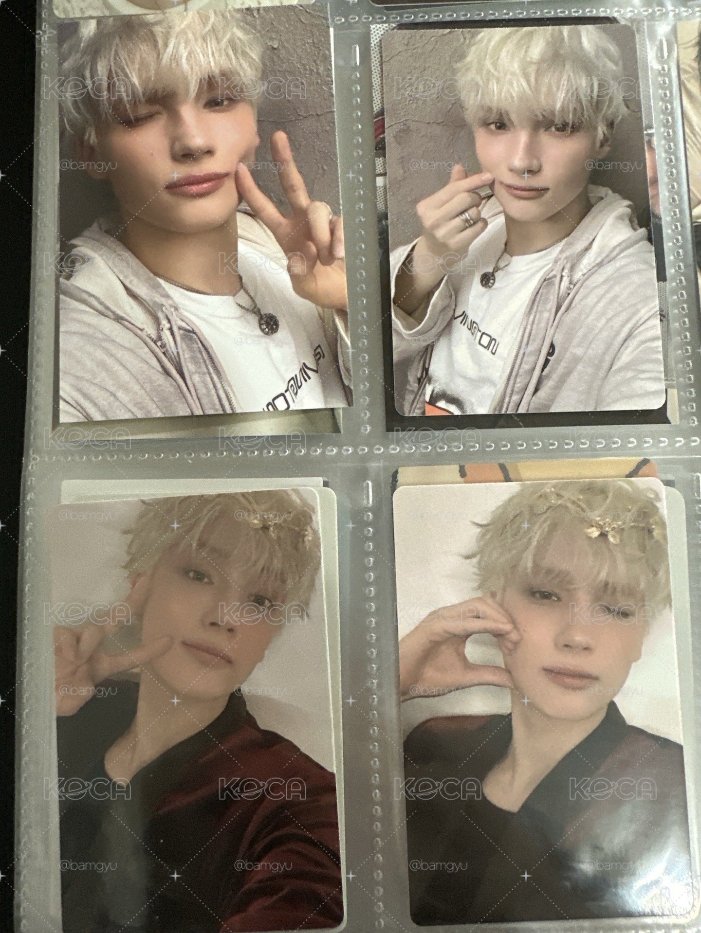 年曆休寧小卡+特典 五張