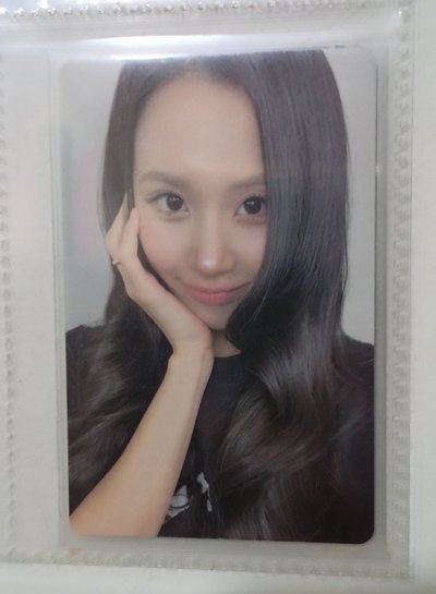 兔