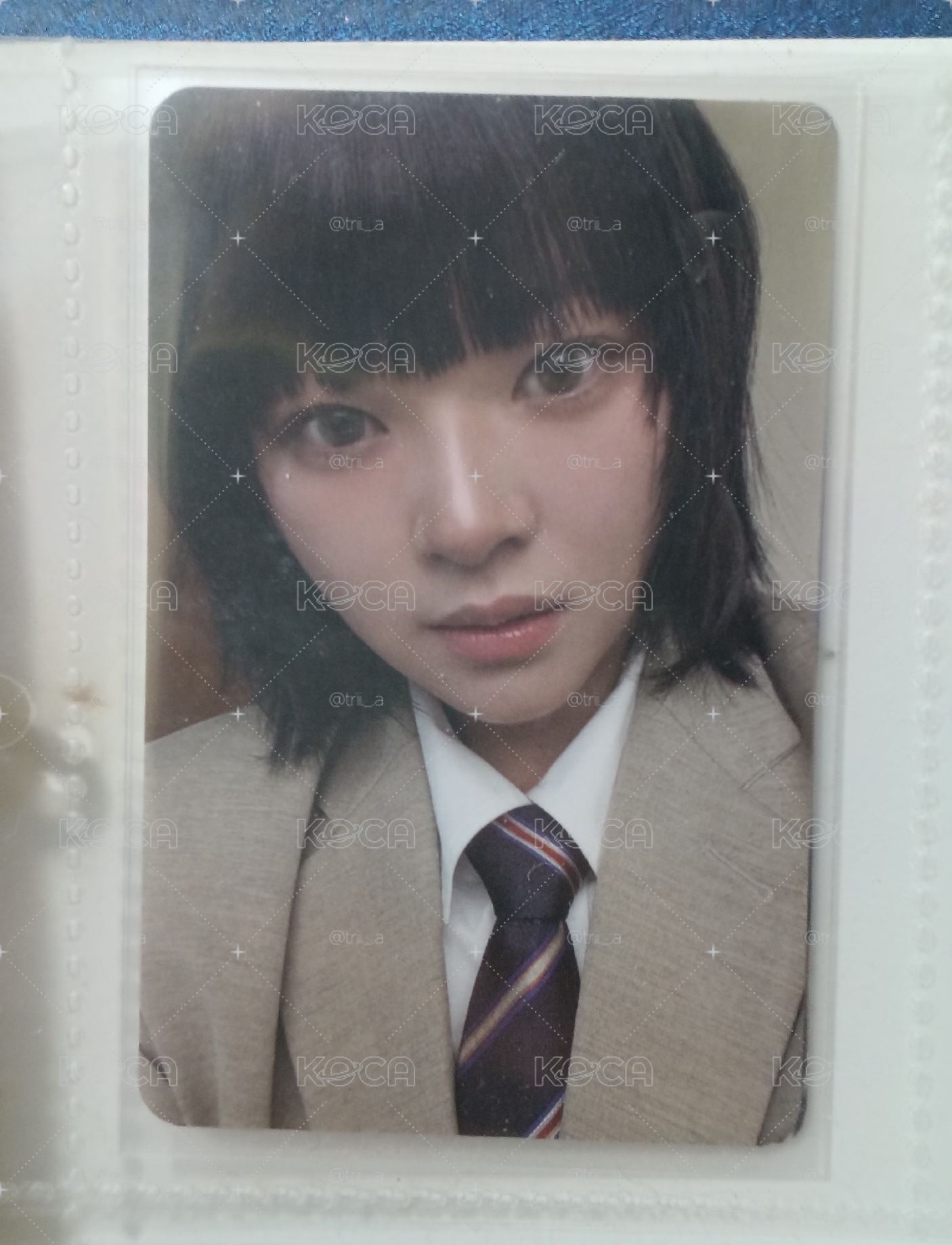 兔