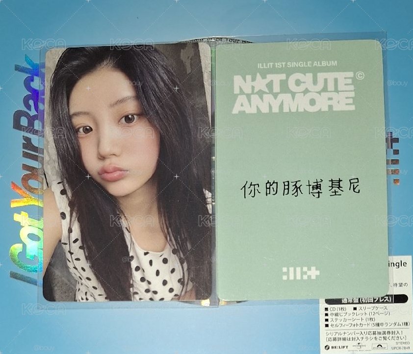 你的豚博基尼
