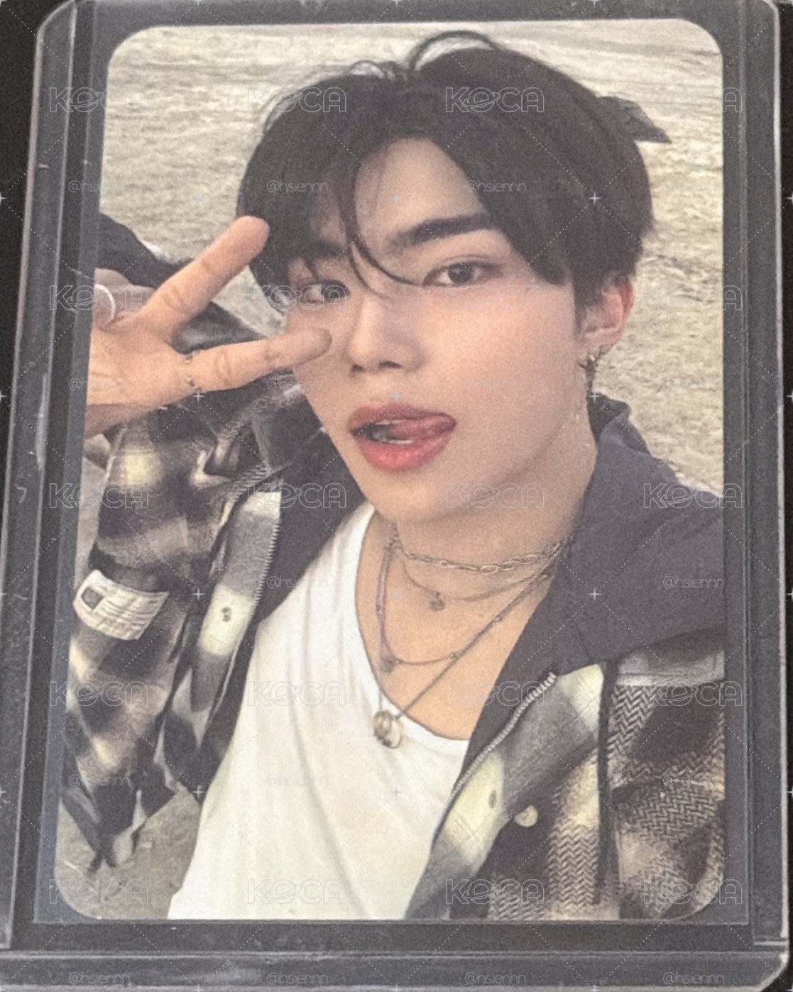 朴乾旭打歌卡