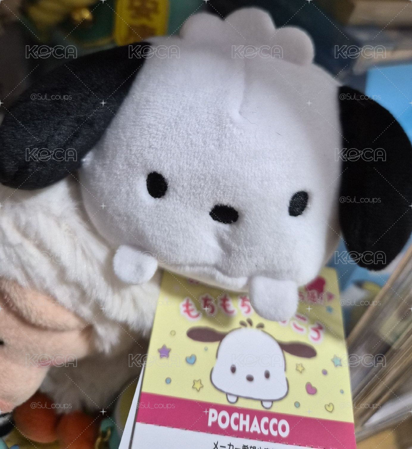 S娃 趴姿 帕恰狗