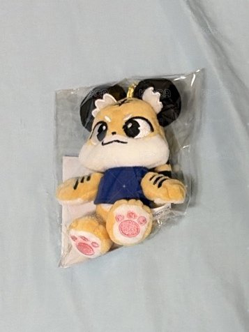 （現貨）李東海演唱會小老虎