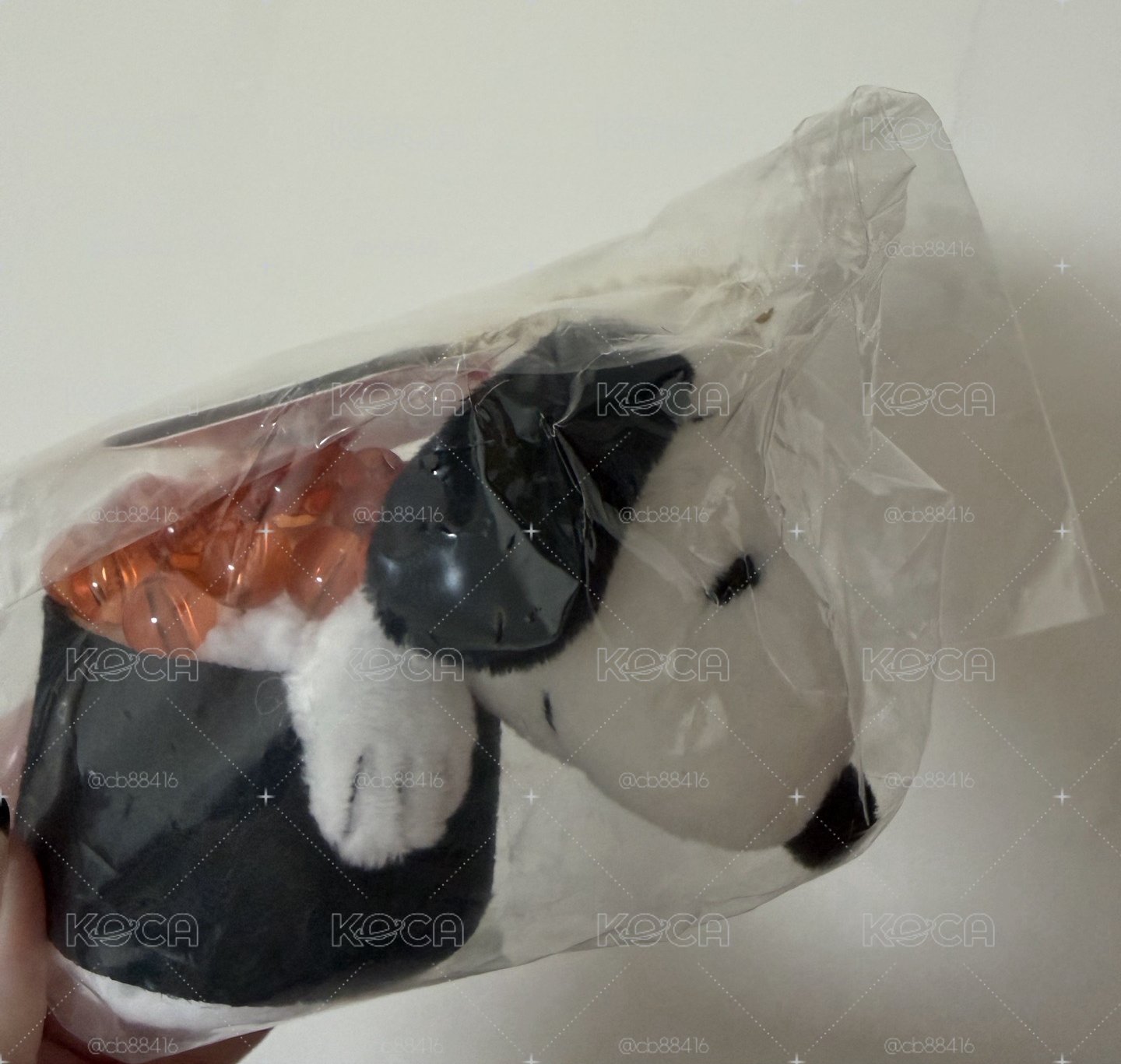 壽司系列 