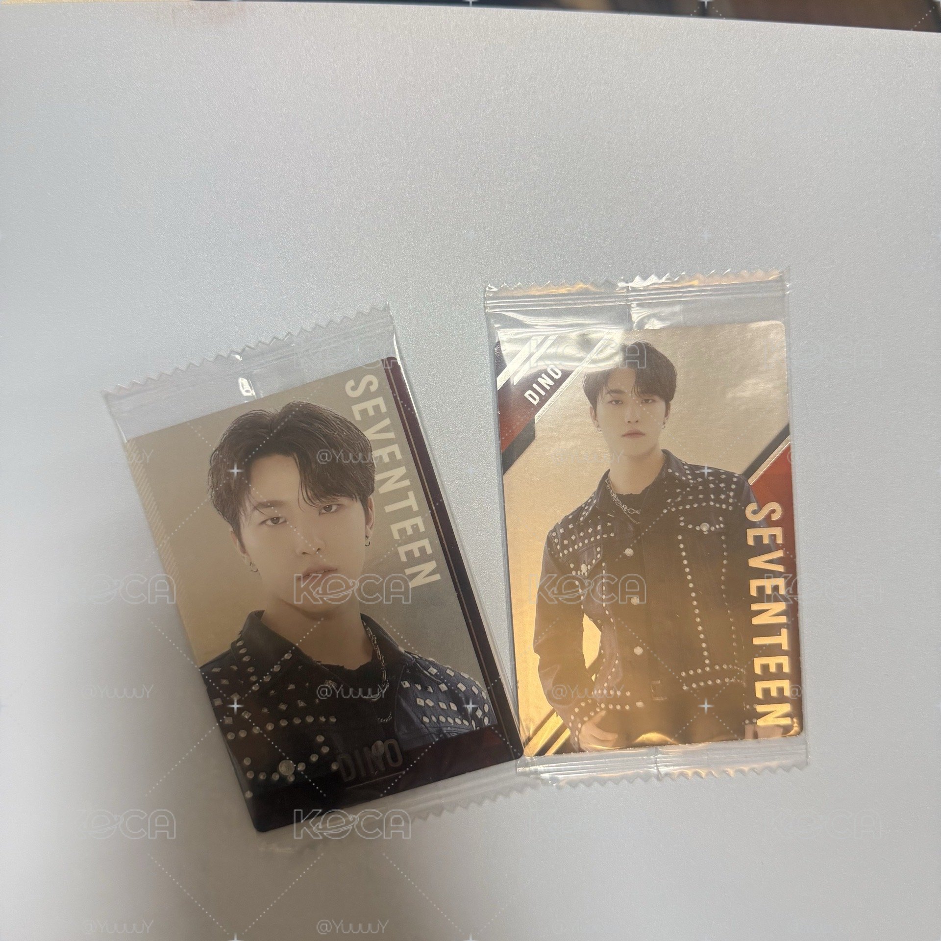 🍪 SEVENTEEN 餅乾卡｜DINO