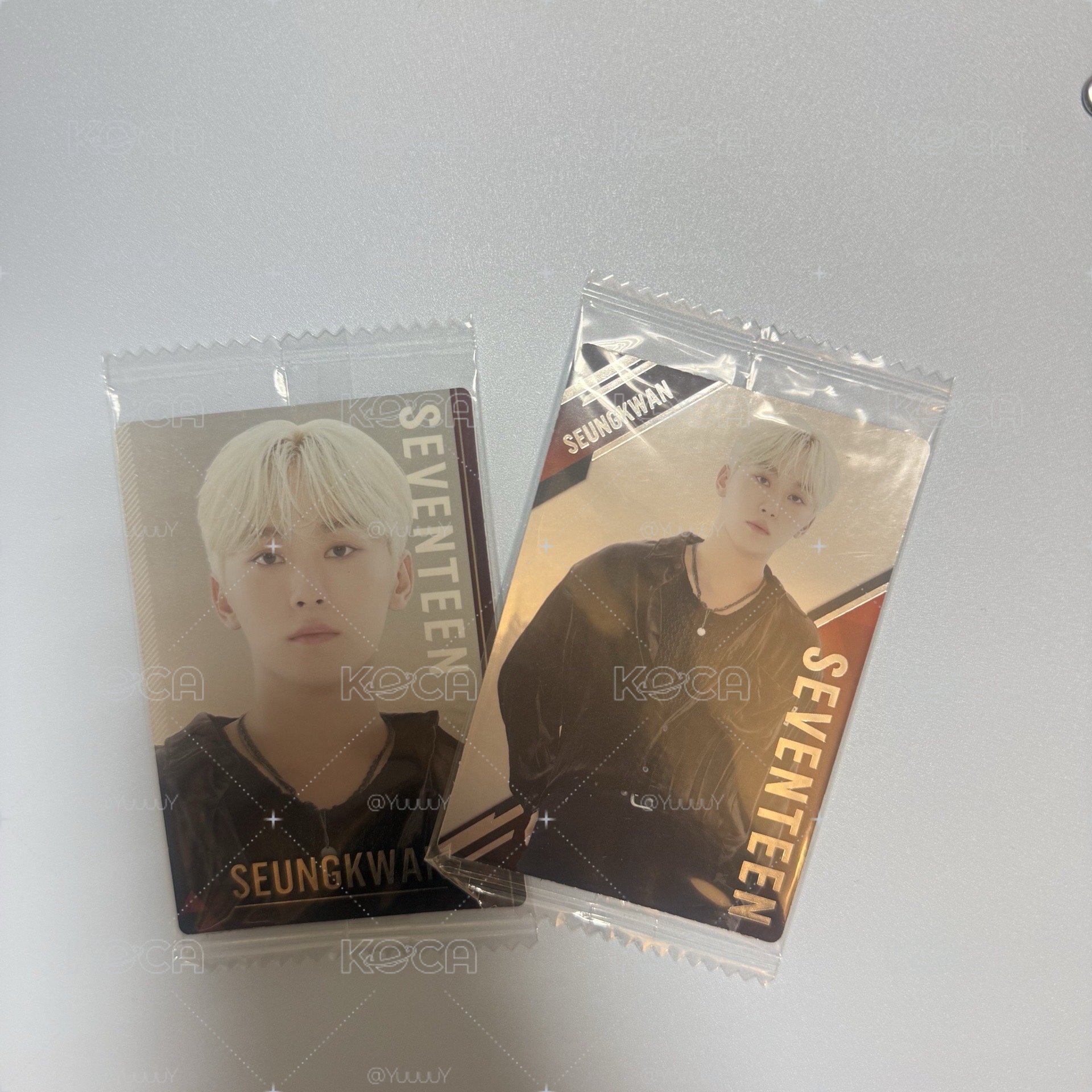 🍪 SEVENTEEN 餅乾卡｜勝寛