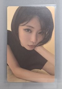 wvs預售