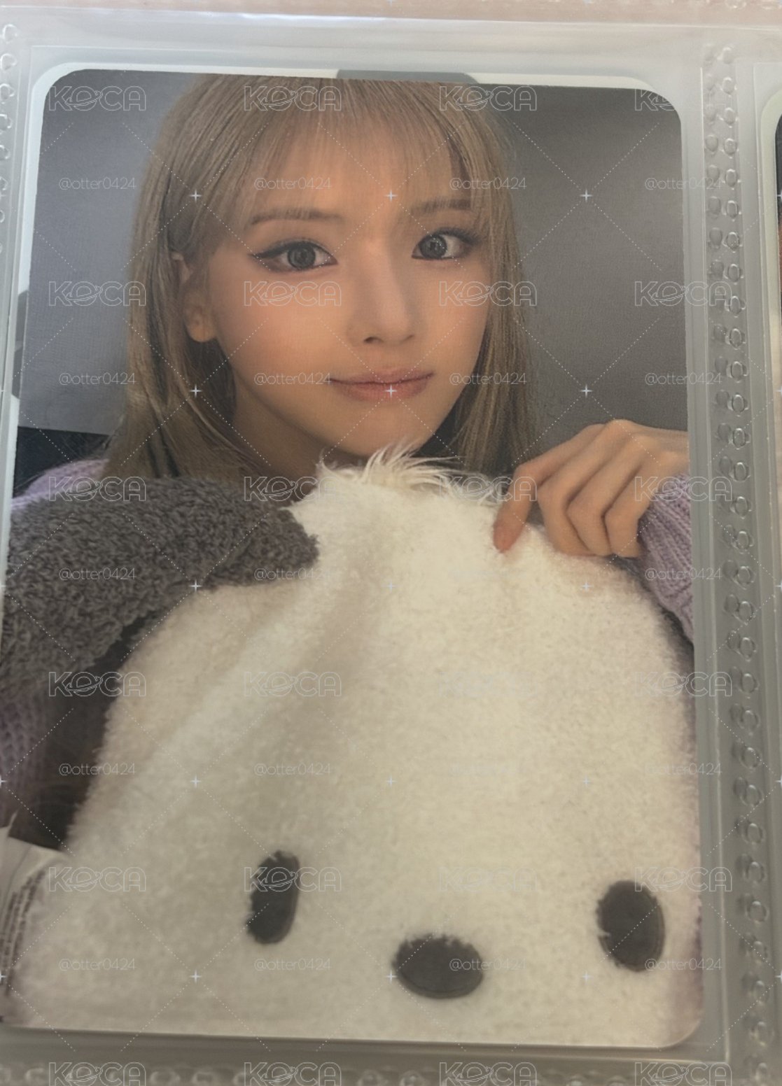 動物朋友和NMIXX友